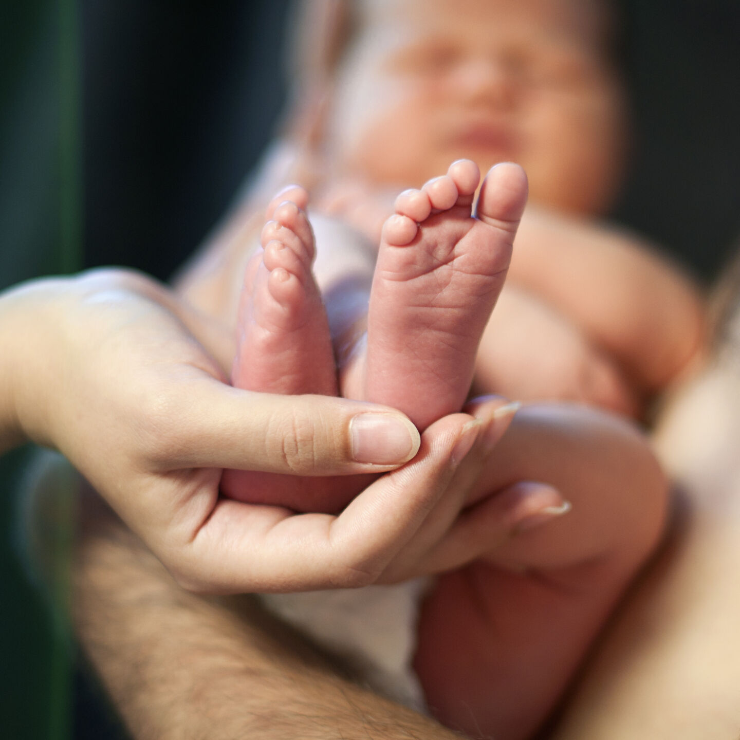 Newborn baby feet, sleeping